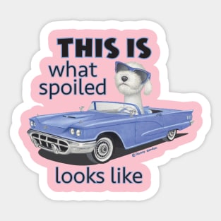 Classic Blue car driven by a labradoodle Sticker